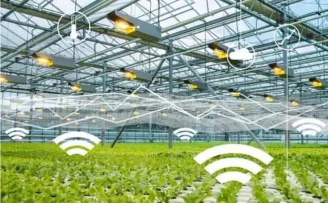 【行業研究】對“互聯網+”現代農業的再認識