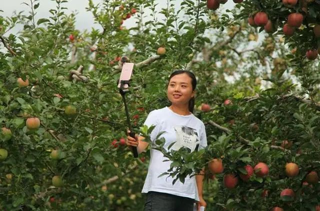 深度剖析|“農村淘寶”進化史：互聯網如何改變鄉村