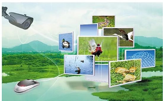 張軍研究員：5G+農業，將帶來哪些變革