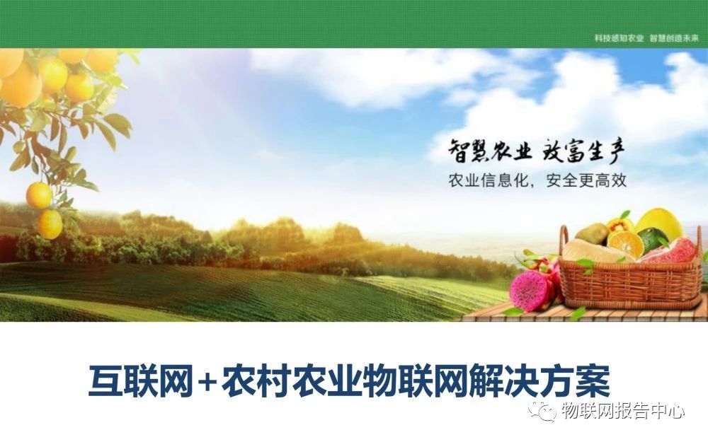 【PPT資料】互聯網+農村農業物聯網解決方案