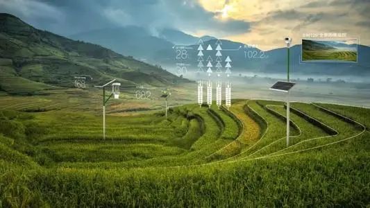 【數字農業】周延禮：未來數字農業要大力發展國產數據模型