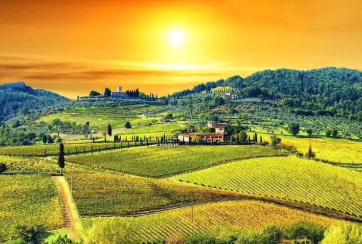 中國要強，農業必須強！那么，中國農業怎樣才能做大做強？