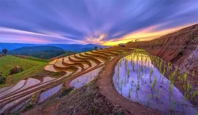 【新年特刊】共享農業，共享未來價值！（附3個階段）