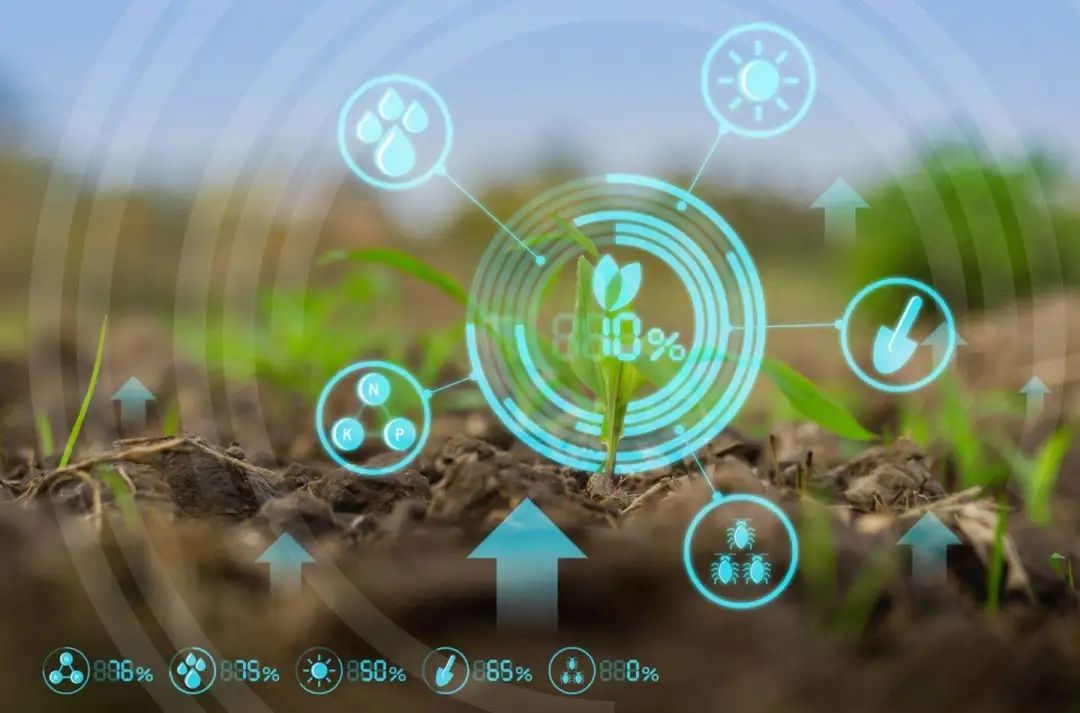 【智慧農業】農業SaaS，農業數字經濟新藍海