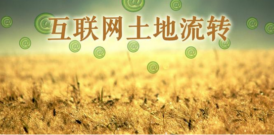 土地風(fēng)口已來(lái)，農(nóng)民應(yīng)該如何靠土地發(fā)家致富?