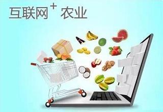 互聯網+農業主要流派及發展趨勢分析