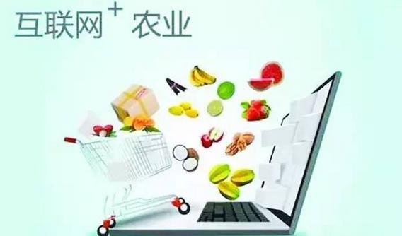 未來5年我國互聯(lián)網(wǎng)+農(nóng)業(yè)十大發(fā)展趨勢