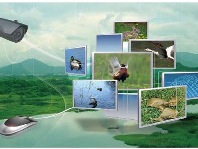 六大商業(yè)模式 撬動“互聯(lián)網(wǎng)+農(nóng)業(yè)”