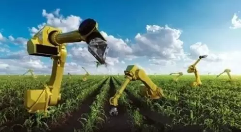 為什么農業科技領域沒有出現獨角獸？