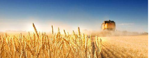 互聯(lián)網(wǎng)+農(nóng)業(yè)，一碗沒什么用的雞湯！