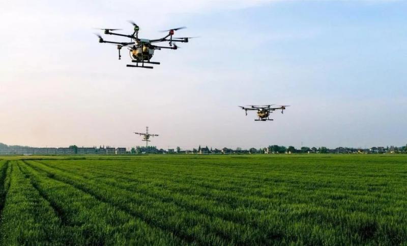 農業(yè)產業(yè)周報｜（2018.11.26—12.02）