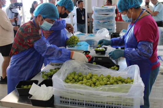 盒馬：發(fā)力訂單農(nóng)業(yè)，全國擁有190個盒馬村