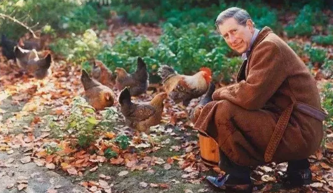 看7個國外實例，做有機農(nóng)業(yè)，沒那么難