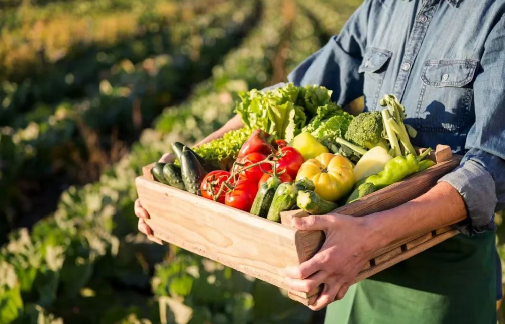 【有機農(nóng)業(yè)】關(guān)于加快推進有機農(nóng)業(yè)高質(zhì)量創(chuàng)新發(fā)展的思考