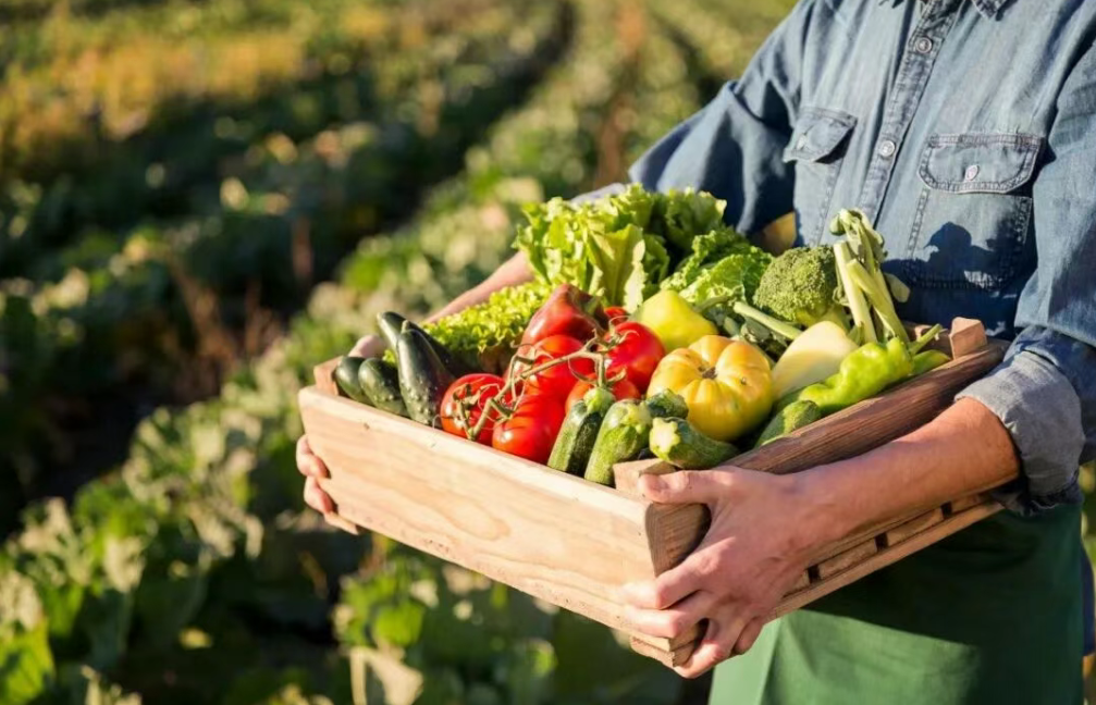 【有機農業】有機農業：到2030年市場規模有望突破2500億！（附4大挑戰）