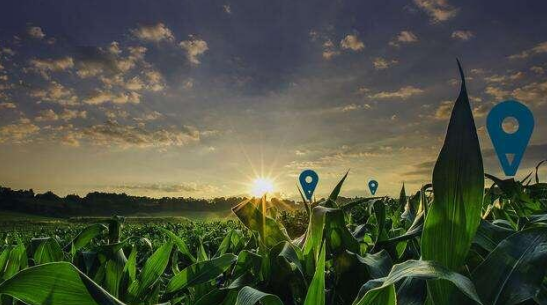 “元宇宙+農業”如何改變農業？這里有3條路徑值得探討